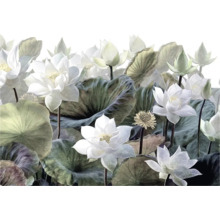 Illustration von Lotusblüten und -blättern