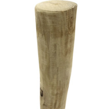 Holzstamm, Baumstamm