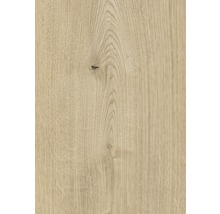 Handmuster Laminat 8.0 Ferrara Beachlin