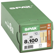 Packung mit 50 Spax-Konstruktionsschrauben 8x100