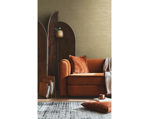 Wohnzimmer mit braunem Sofa, Raumteiler, Teppich und Dekorationen für eine gemütliche Atmosphäre
