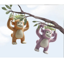 Zwei hängende Affen Pflanzgefäße an einem Ast