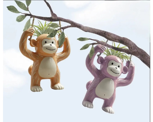 Zwei hängende Affen Pflanzgefäße an einem Ast