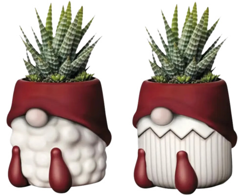 Zwei Pflanzen in Zwerg-Übertöpfen