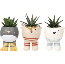 Drei dekorative Pflanzgefäße mit Tierdesign und Sukkulenten.