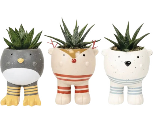 Drei dekorative Pflanzgefäße mit Tierdesign und Sukkulenten.