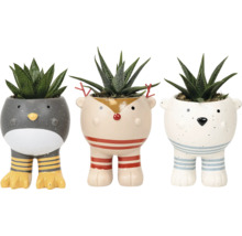 Drei dekorative Blumentöpfe in Tierform mit Sukkulenten