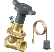 Oventrop HydroControl D Ventil mit Fühler