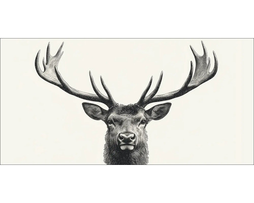 Illustration eines Hirsches mit Geweih
