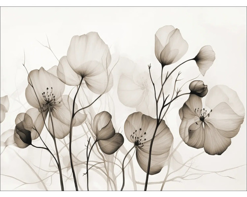 Illustration von transparenten Blumen auf Stielen