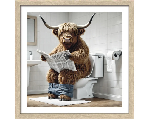 Gerahmtes Bild eines Hochlandrindes, das auf einer Toilette sitzt und eine Zeitung liest