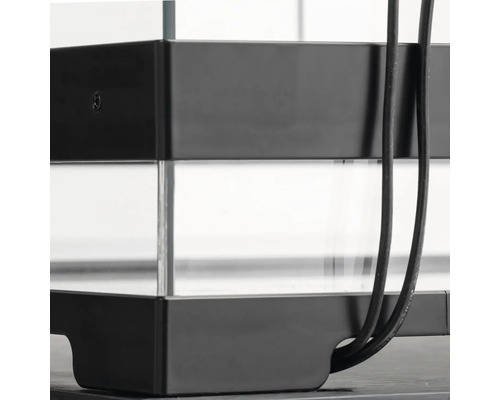 Detailansicht eines Aquariums mit Glas und schwarzem Rahmen