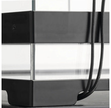 Detailansicht eines Aquariums mit Glasbehälter und schwarzem Rahmen