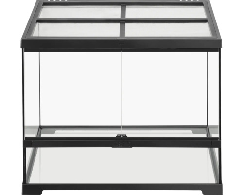 Leeres Glasterrarium mit schwarzem Rahmen und Gitterabdeckung