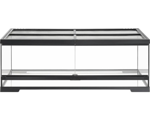 Terrarium aus Glas mit schwarzem Rahmen