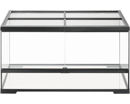 Leeres Glasterrarium mit Belüftung