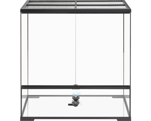 Terrarium aus Glas mit Wasserfontäne