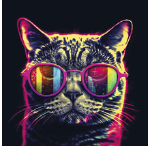 Porträt einer Katze mit Brille