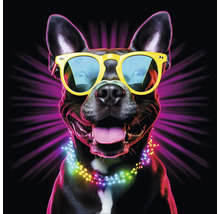 Porträt eines Hundes mit Sonnenbrille und Lichterkette