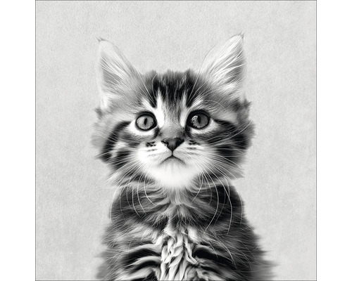 Porträt einer jungen Katze