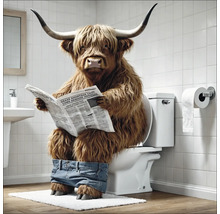Hochlandrind liest Zeitung auf der Toilette