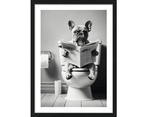 Schwarzweiß-Fotografie eines Hundes, der auf einer Toilette sitzt und eine Zeitung liest, gerahmt