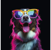 Hund mit Sonnenbrille