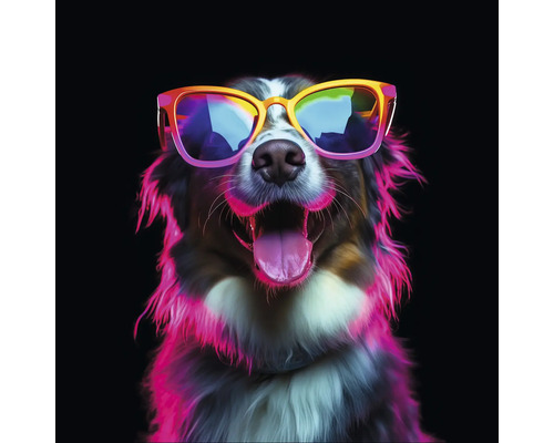 Hund mit Sonnenbrille