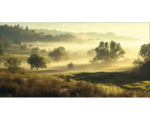 Nebel liegt über einer hügeligen Landschaft mit Bäumen und Gras.