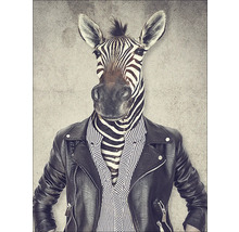 Illustration einer anthropomorphen Zebrafigur mit Lederjacke und Hemd