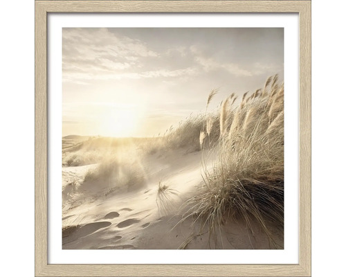Gerahmtes Bild einer Dünenlandschaft mit Gras im goldenen Licht