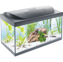 Aquarium mit Fischen, Pflanzen und Dekoration