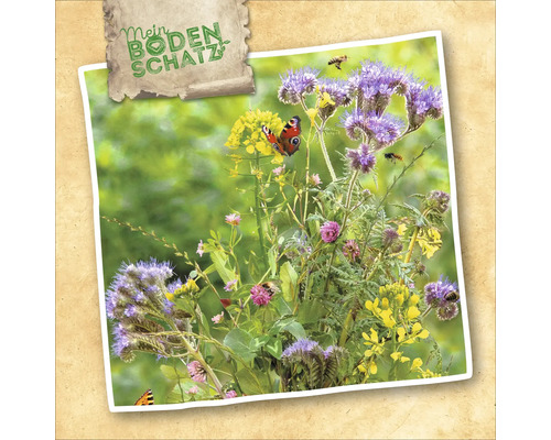 Mein Bodenschatz Blumensamenmischung mit verschiedenen Blüten und Insekten