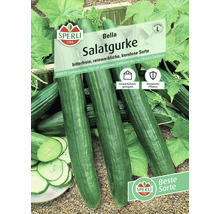 Sperli Bella Salatgurke Samenpackung
