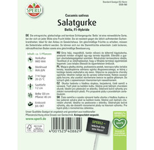 Samenpackung Salatgurke Bella F1-Hybride