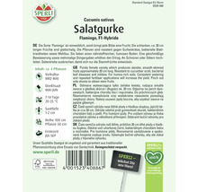 Samenpackung Salatgurke Flamingo F1-Hybride von Sperli
