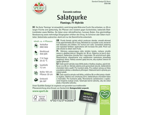 Samenpackung Salatgurke Flamingo F1-Hybride von Sperli