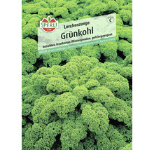 Samenpackung Grünkohl Lerchenzunge von Sperli