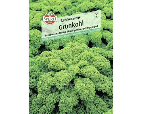 Samenpackung Grünkohl Lerchenzunge von Sperli