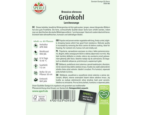 Samenpackung Grünkohl Lerchenzunge der Marke Sperli