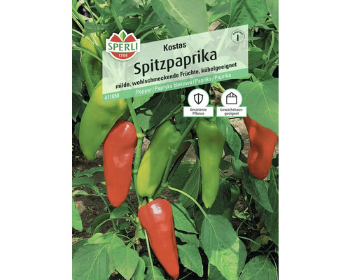 Sperli Spitzpaprika Kostas Samen, robuste Pflanze, geeignet für Gewächshäuser