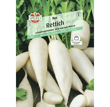 Sperli Rex Rettich Samen, geeignet für Gewächshäuser