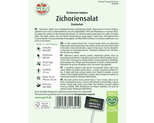 Zichoriensalat Zuckerhut Samenpackung von Sperli