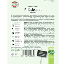 Samenpackung Pflücksalat 'Lollo rossa' der Marke Sperli