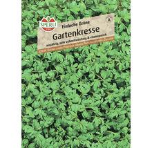 Samenpackung Gartenkresse von Sperli