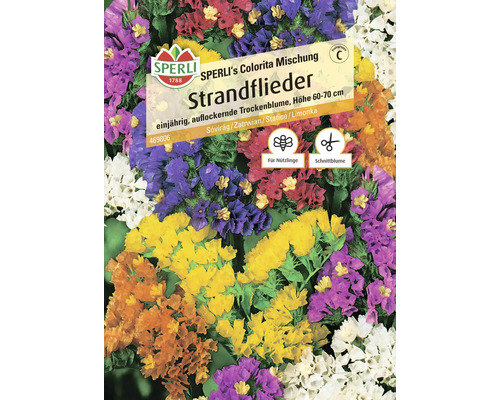 Sperli Strandflieder Colorita Mischung Samenpackung