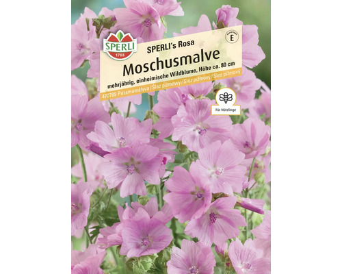 Sperli's Rosa Moschusmalve, mehrjährige, einheimische Wildblume, Höhe circa 80 cm, für Nützlinge