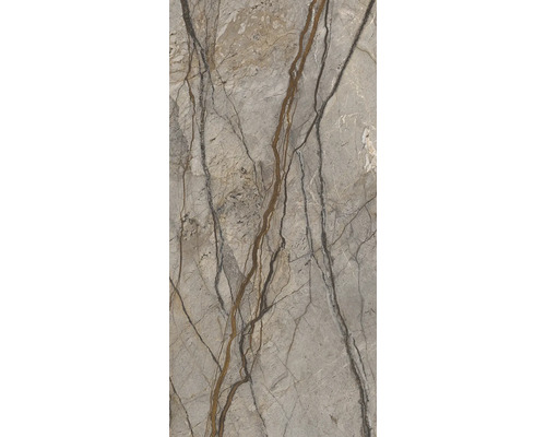 Duschrückwand SCHULTE DecoDesign ExpressPlus Marmoroptik Stein Marmor-Kastanie Hochglanz 210 x 100 cm EP19010213 784 Fliesenmuster mit Marmorstruktur und Äderungen