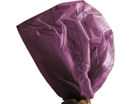 Lampion aus Papier