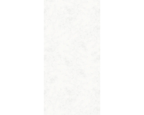 Duschrückwand SCHULTE DecoDesign ExpressPlus Marmoroptik Stein Marmor-hell 255 x 125 cm EP1902225 603 Heller Untergrund